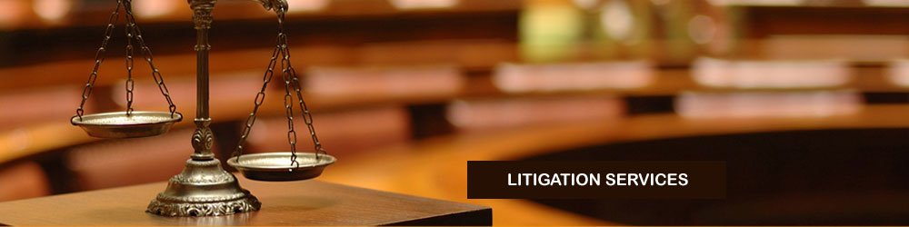 Litigation Services